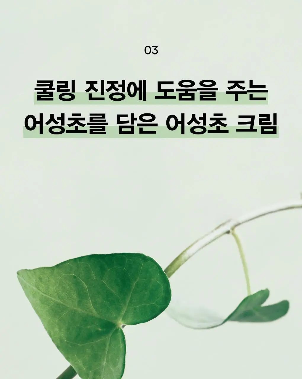 [쿨링진정] 아비브 어성초 크림 카밍 튜브 75ml 상세페이지 13